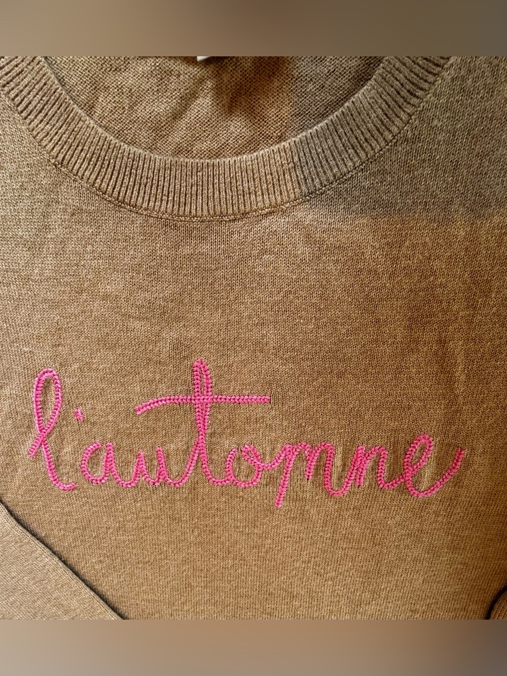 LOFT L’Automne Autumn Fall Sweater M Tan Pink Embroidered - Picture 6 of 9